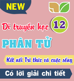 Di truyền Phân tử (KNTT)